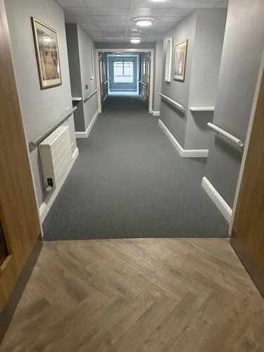 A hallway carpet after cleaning