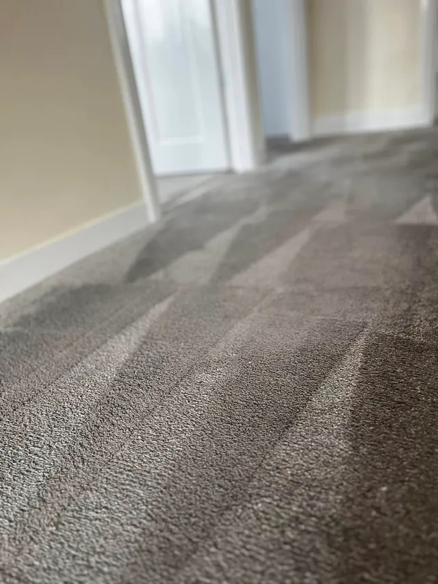 Hallway carpet after cleaning