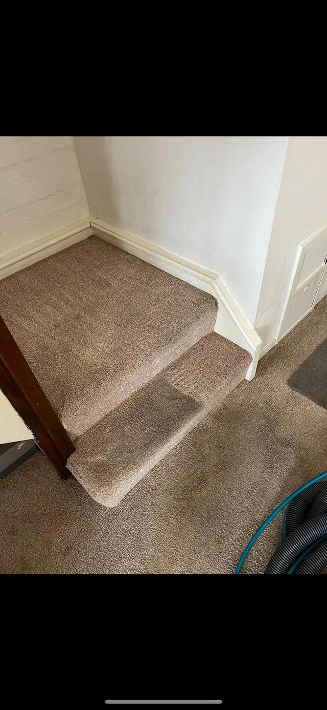 Another set of carpeted stairs